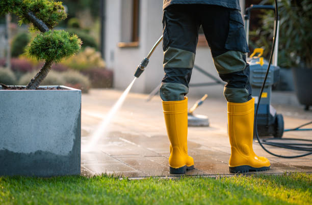 Roof Power Washing Services in Woodside, PA